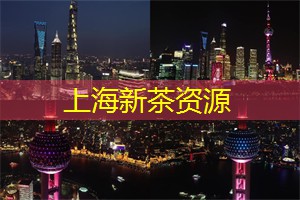 <strong>爱上海同城论坛</strong>：巨头云集！上海工作室引领行业新风尚，你不想错过！