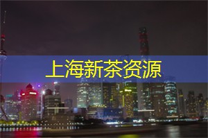 上海新茶工作室：体验上海新茶工作室的“茗茶之旅”，探索独特的品茶文化！